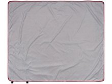 ���� �Picnic� � ������ ��� ���������