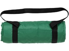 ���� �Picnic� � ������ ��� ���������