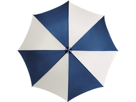 Зонт-трость «Lisa»