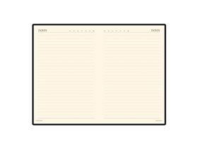 Ежедневник недатированный А5 «Megapolis Velvet»