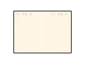 Ежедневник недатированный А5 «Megapolis Flex»