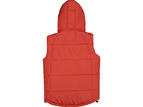 ����� Vigour �������