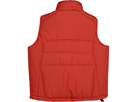 ����� Vigour �������