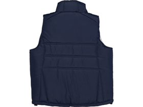 ����� Vigour �������