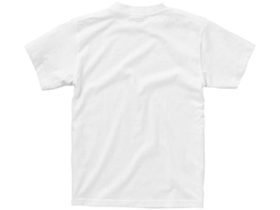 �������� Ace �������