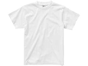 �������� Ace �������