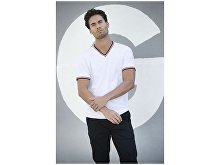 �������� �Elbert� �������