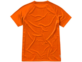 �������� Niagara �������