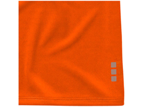 �������� Niagara �������