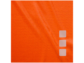 �������� Niagara �������