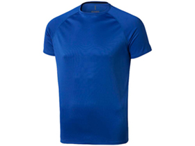 �������� Niagara �������