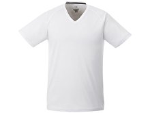 �������� �Amery� ������� � V-�������� �������