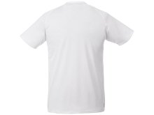 �������� �Amery� ������� � V-�������� �������