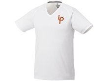 �������� �Amery� ������� � V-�������� �������