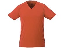 �������� �Amery� ������� � V-�������� �������