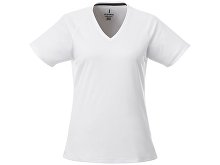 �������� �Amery� ������� � V-�������� �������