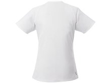 �������� �Amery� ������� � V-�������� �������