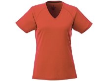 �������� �Amery� ������� � V-�������� �������