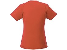 �������� �Amery� ������� � V-�������� �������