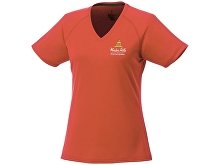 �������� �Amery� ������� � V-�������� �������