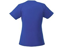 �������� �Amery� ������� � V-�������� �������