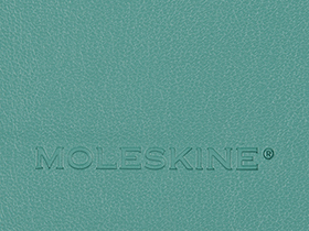 �������� ������ �5  (Large) Classic Soft (� �������)