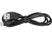 ������������ �������� �Pals� � �������� ������