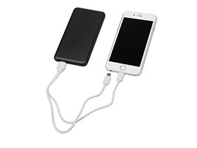 ����������� �������� ���������� �Shell Pro�, 10000 mAh