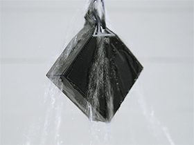 �������������� ����������� �����-������� �Aquatic�