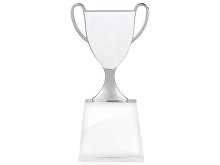 Кубок «Champion»