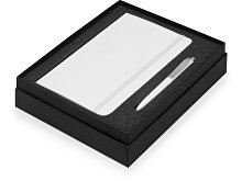 Подарочный набор Moleskine Picasso с блокнотом А5 и ручкой