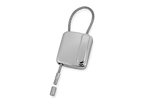 ������ ���������