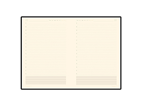 Ежедневник недатированный В5 «Zenith»