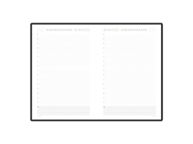 ���������� �������������� �5 �Mercury�