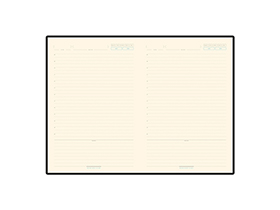 ���������� �������������� �5 �Chelsea�