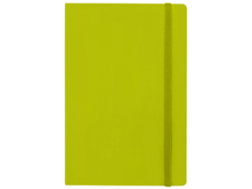 ������� �5 �Vision�