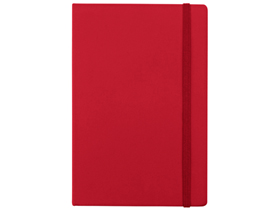 ������� �6 �Vision�