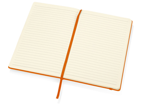 ������� �6 �Vision�