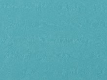 ������� �5 �Vision 2.0�