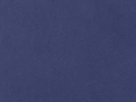 Ежедневник недатированный А5 «Lead AR»