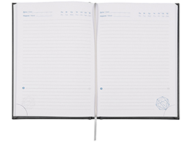 Ежедневник недатированный А5 «Probe AR»