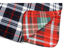 ���� �������