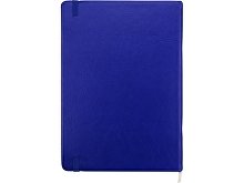 Набор для записей «Альфа», А5