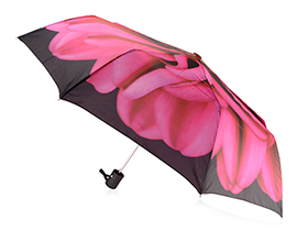 Подарочный набор «Георгин», 420D