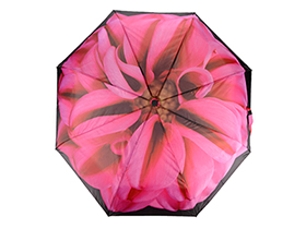 Подарочный набор «Георгин», 420D