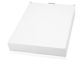 Папка для документов «Carey»