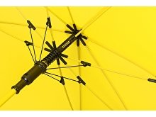 ����-������ �Color�